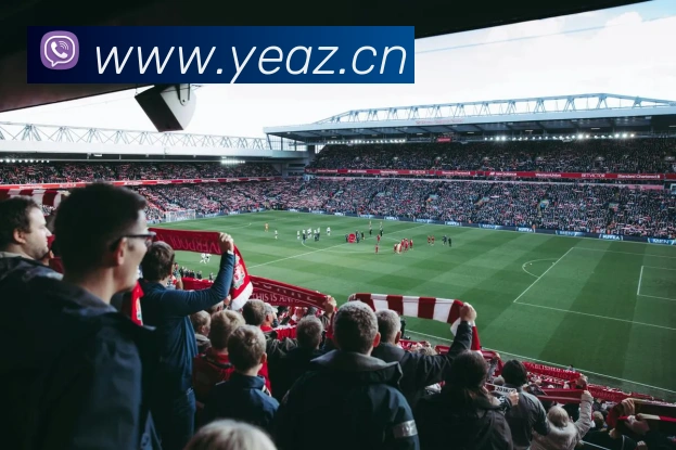 国际pg服务体系